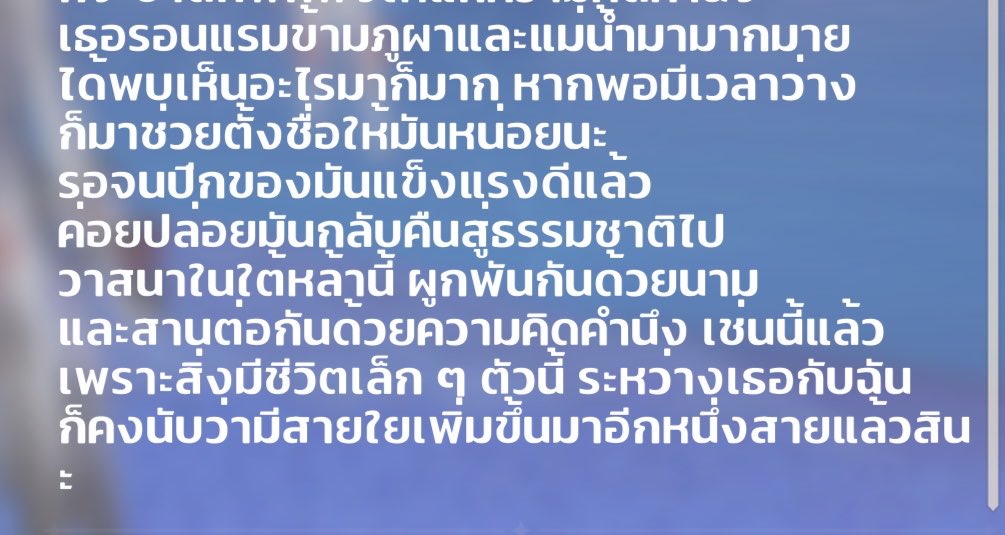 sś 🐳 tweet media