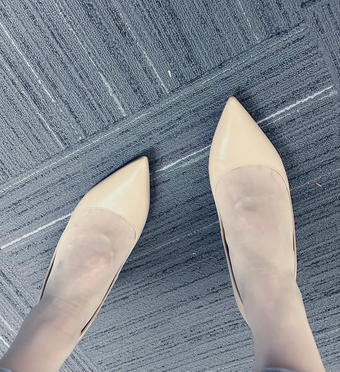 三线女作家 Chloe Zheng tweet media