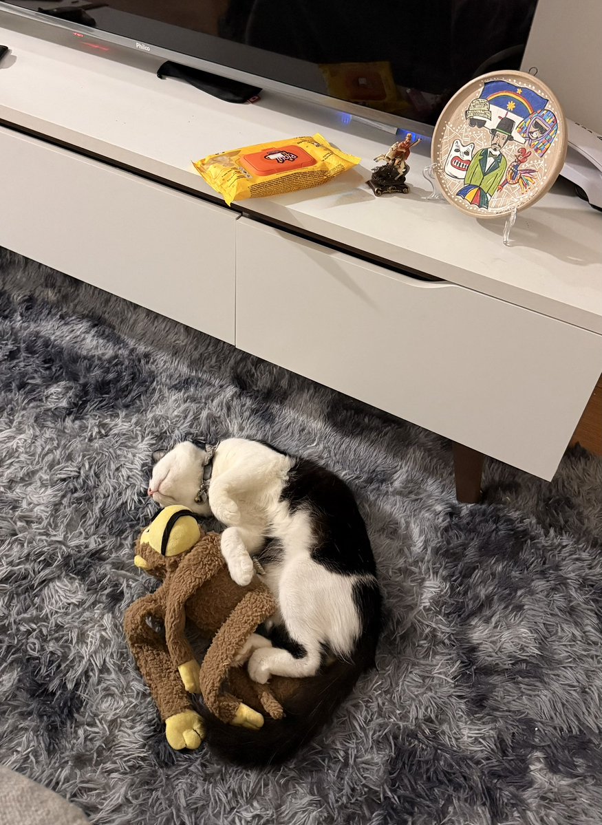 Andressa 🦁 tweet media