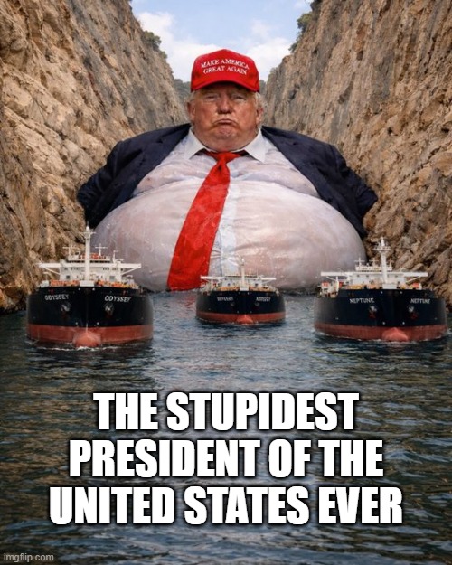 mc_iwar's tweet image. Create a clusterfuck &amp;amp; shitshow - pretending to sort it out.#nasty🇺🇸