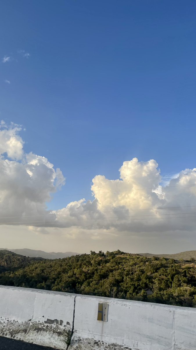 سلطانـة tweet media