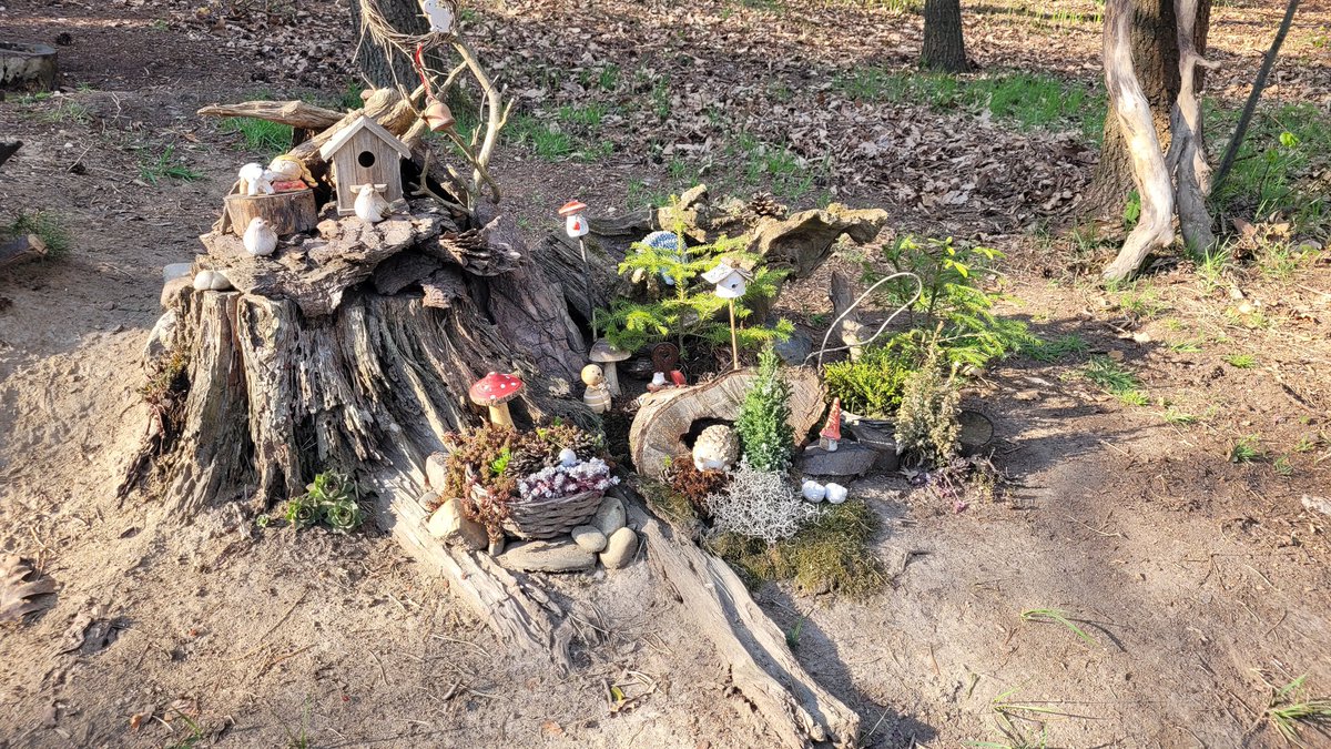 Plaváček tweet media