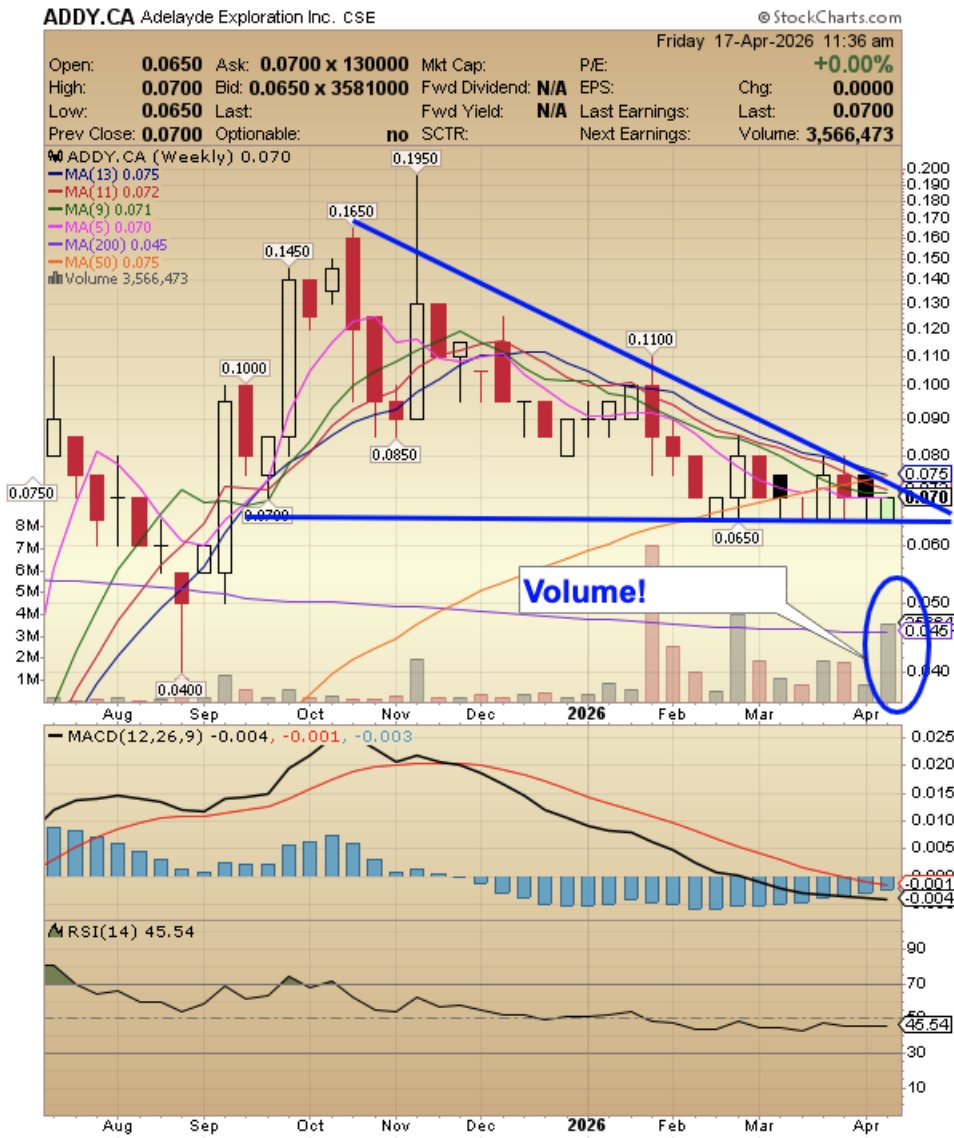 HedgehogTrader's tweet photo. Adelayde Exploration $ADDY.CA $SPMTF Huge volume this week ... and volume tends to precede price! https://t.co/n7BhdUGJMP