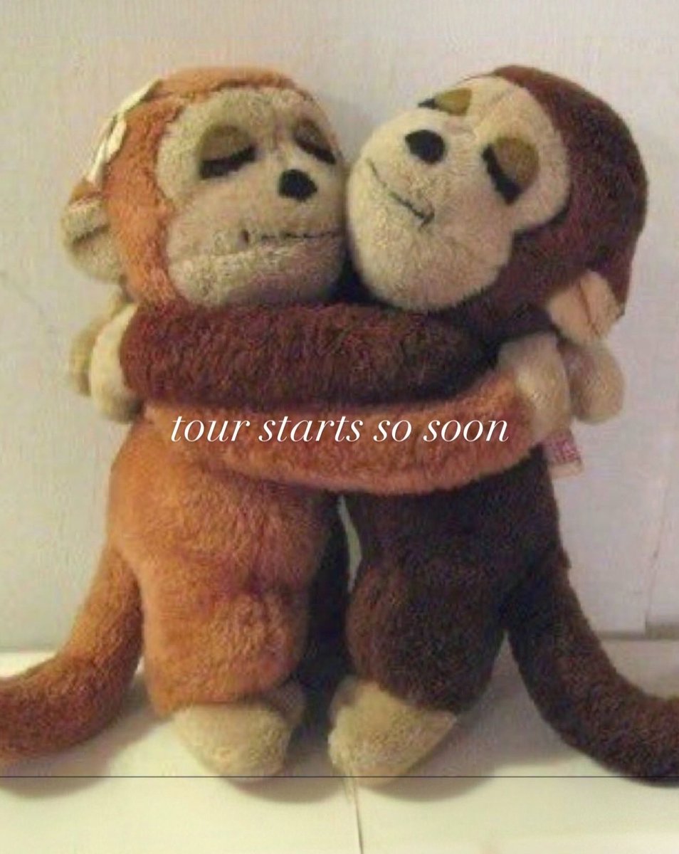 katelyn 𑣿 misses conan tweet media