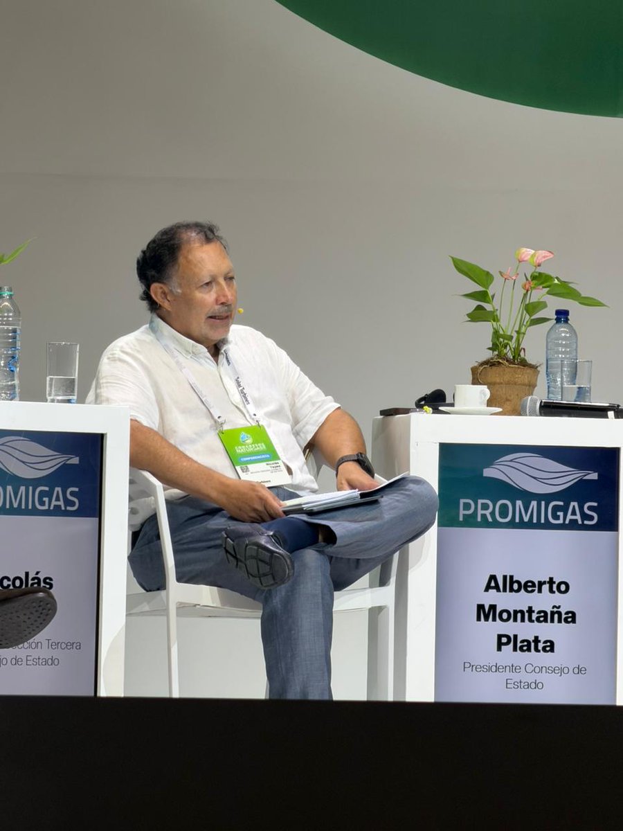 Consejo de Estado tweet media