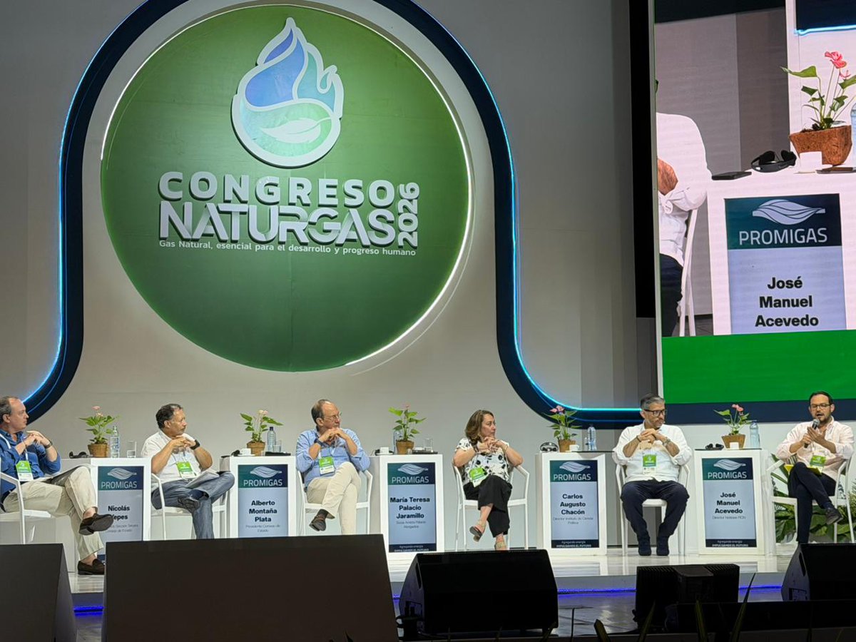 Consejo de Estado tweet media