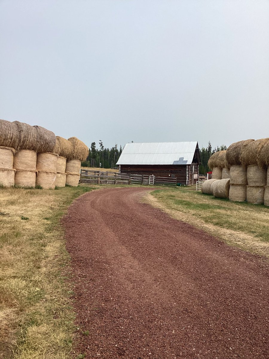 Free Rider tweet media