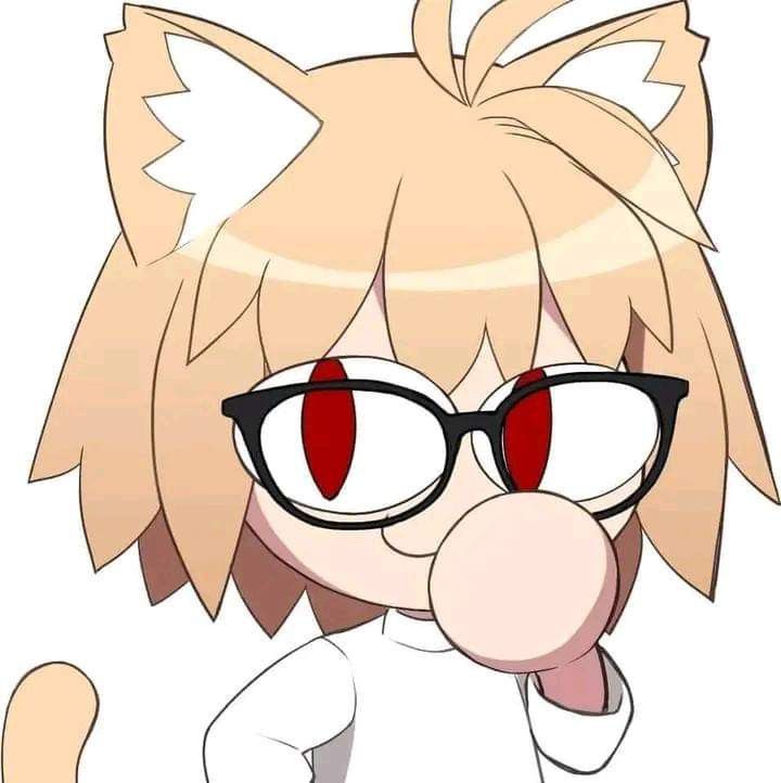 🐱𝑺𝒕𝒖𝒑𝒊𝒅 𝒄𝒂𝒕🐱 (0/4) tweet media