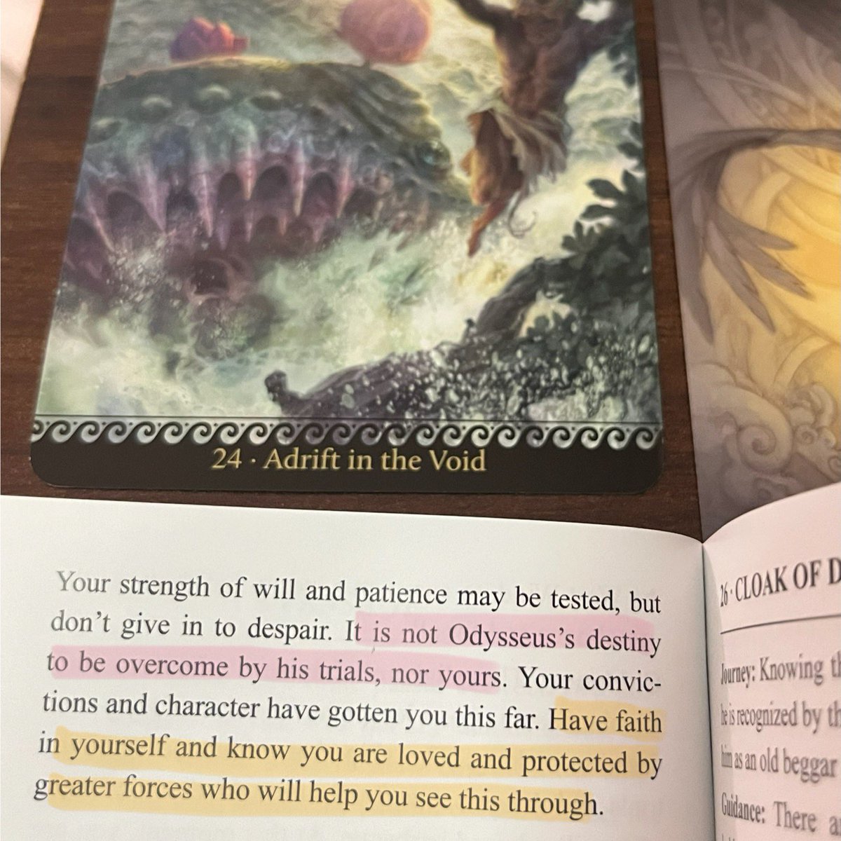 ophelia kim 🌷 tweet media