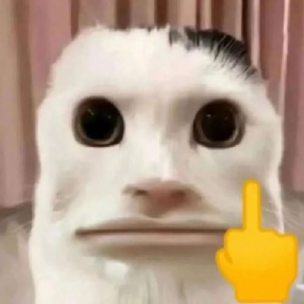 毛ガニー tweet media