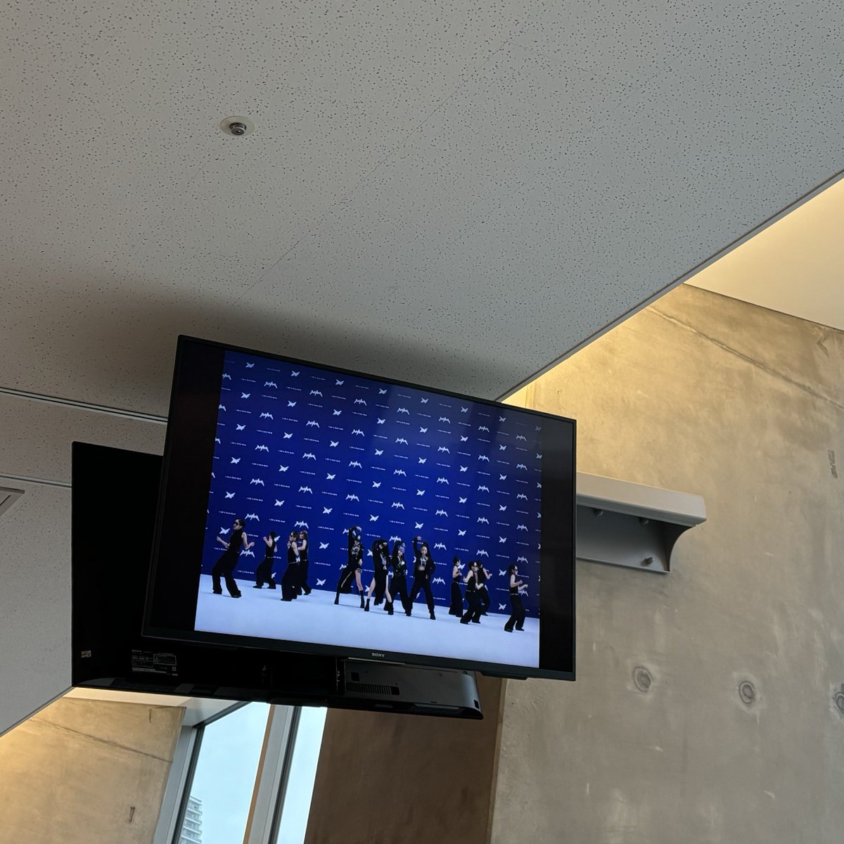 리코 (new) tweet media