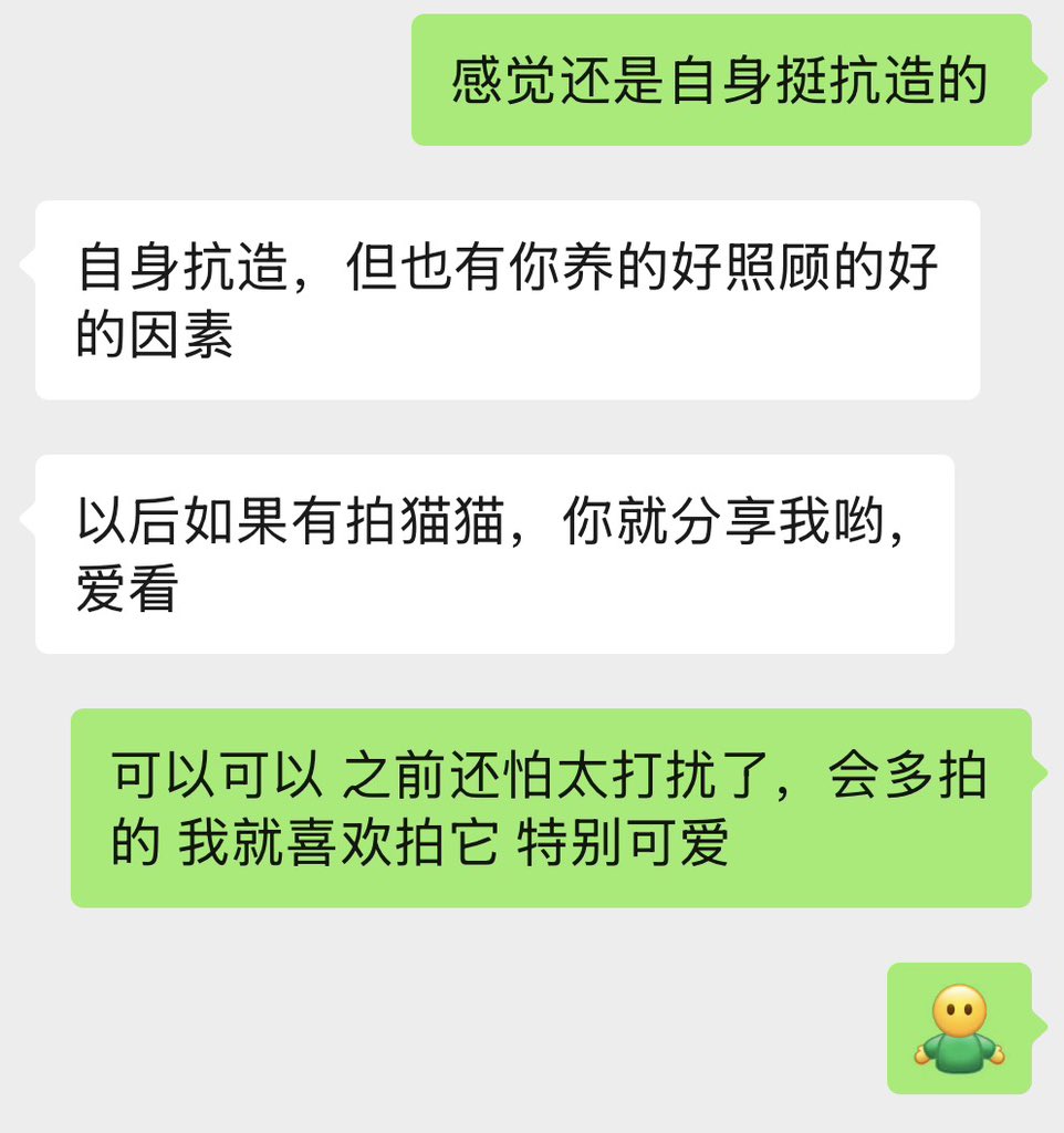 吉尔伽美什 tweet media