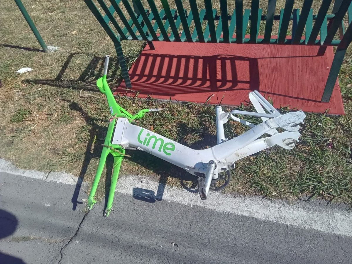 𝕽𝖆𝖞𝖆𝖉𝖔 𝕮𝖍𝖆𝖒𝖕𝖆𝖌𝖓𝖊 tweet media