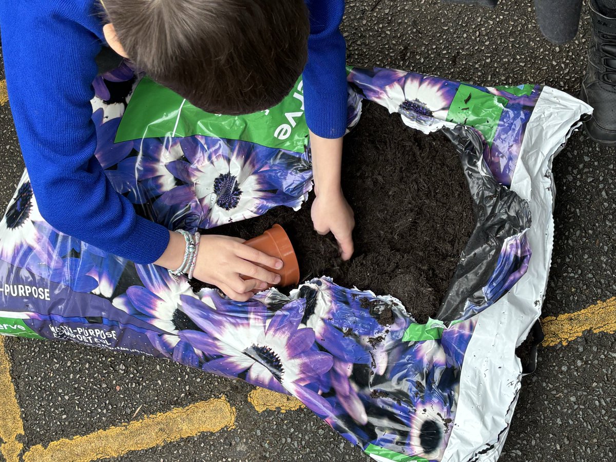 canon_burrows's tweet image. In preparation for Earth Day next week, 1CB followed the instructions they had written in English to plant their very own sunflower seeds. We treat every day like Earth Day! #protectourplanet
