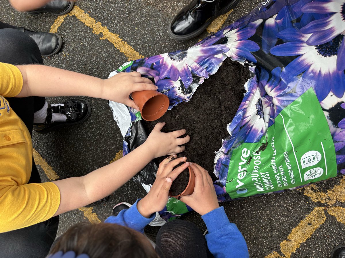 canon_burrows's tweet image. In preparation for Earth Day next week, 1CB followed the instructions they had written in English to plant their very own sunflower seeds. We treat every day like Earth Day! #protectourplanet