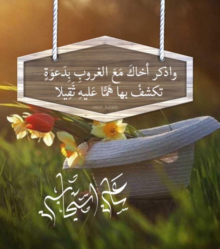 شريف 2022 tweet media