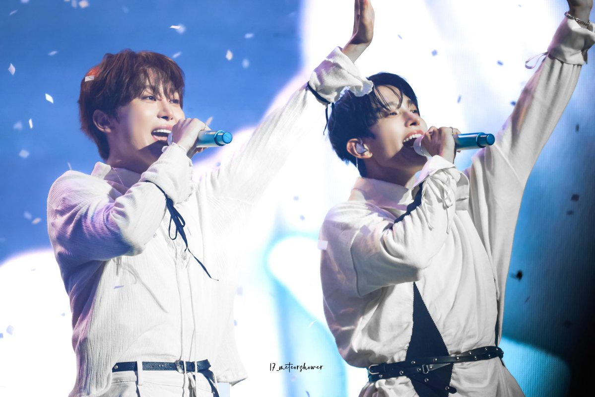 17_meteorshower tweet media