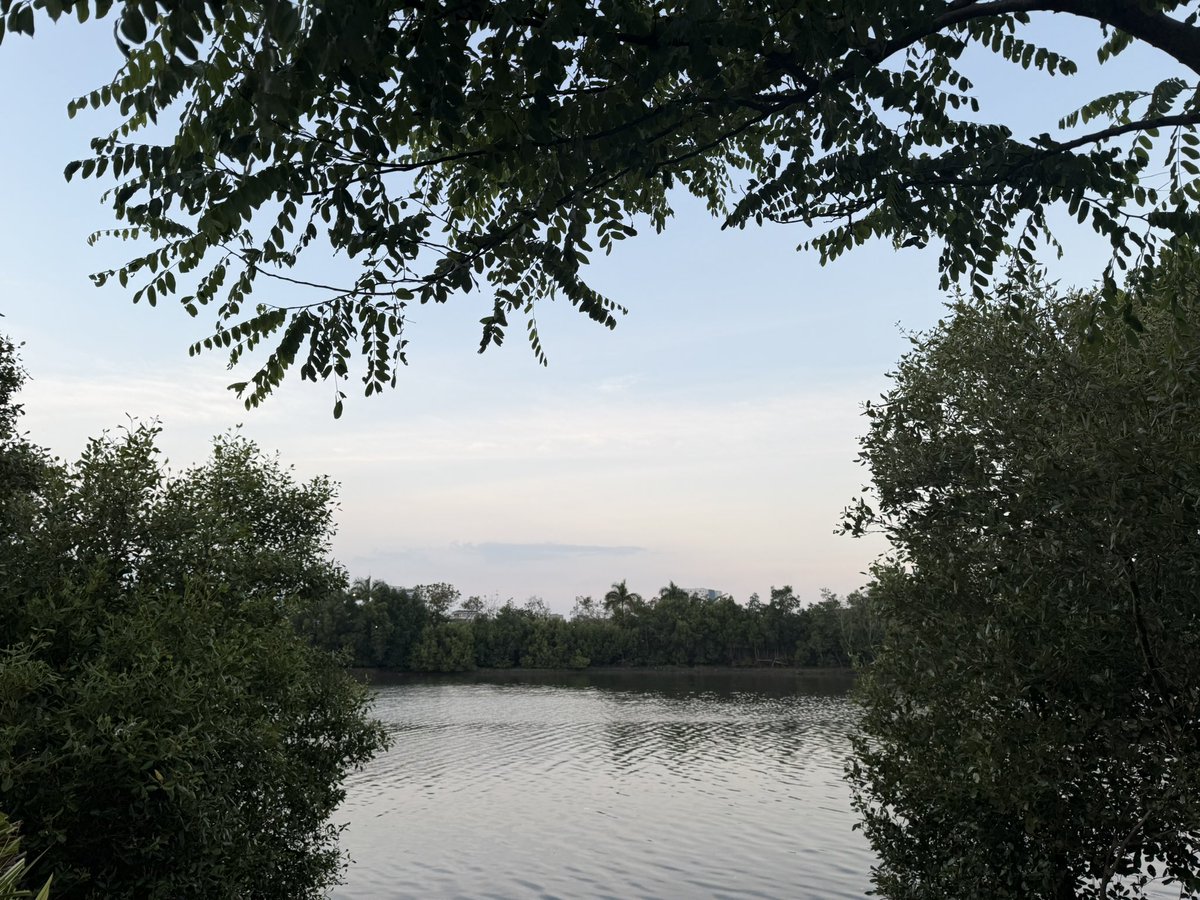 wedwo ( ꈍ◡ꈍ) tweet media