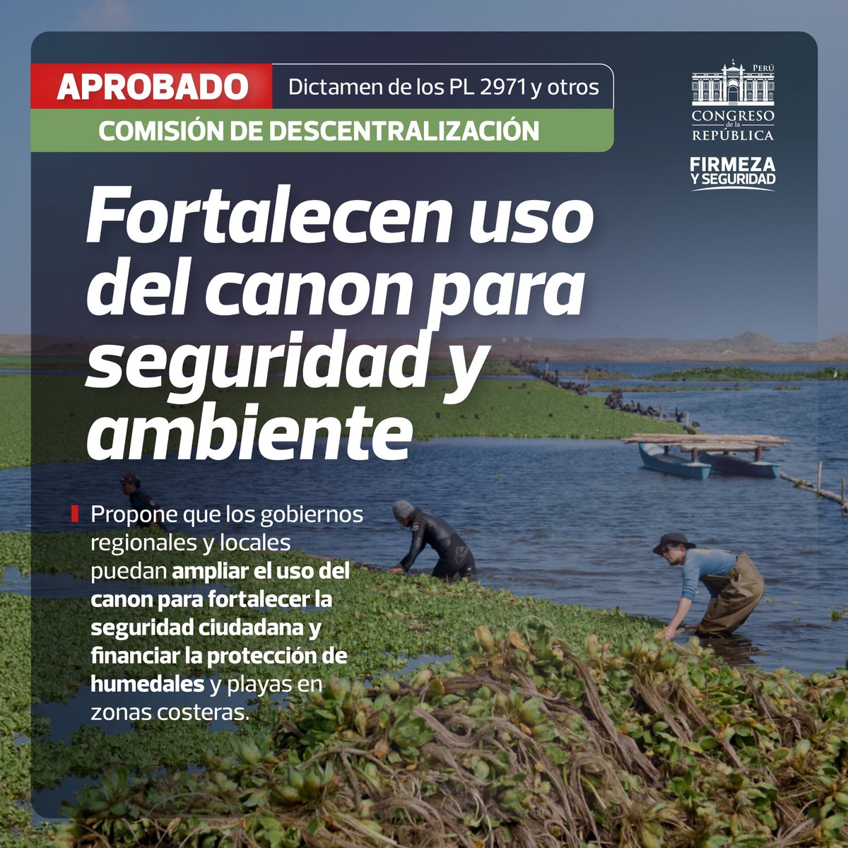 Congreso del Perú 🇵🇪 tweet media