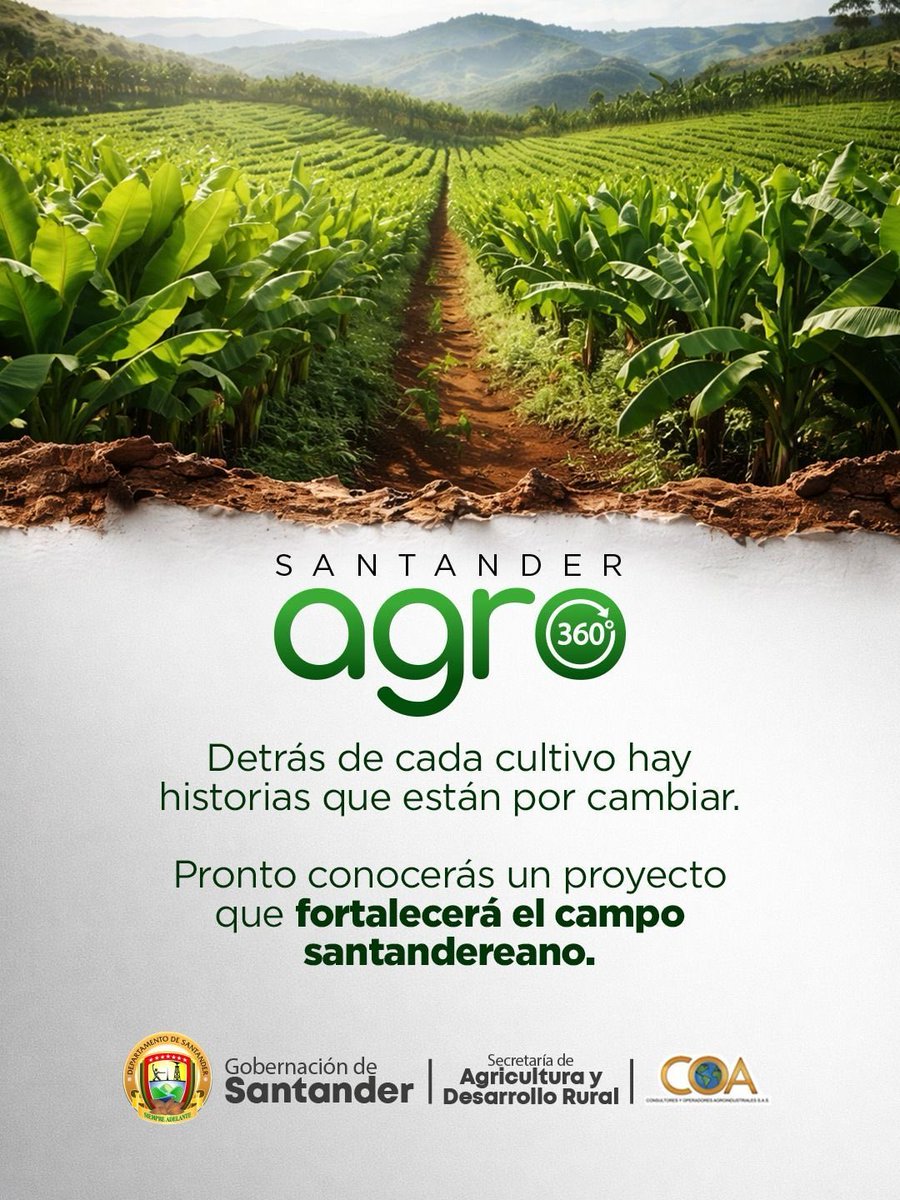 Gobernación de Santander tweet media