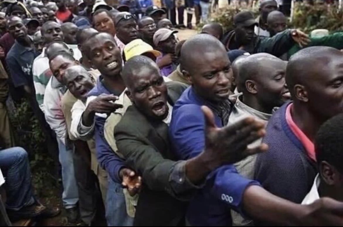 Ecko True Plug🐜🇦🇷 tweet media