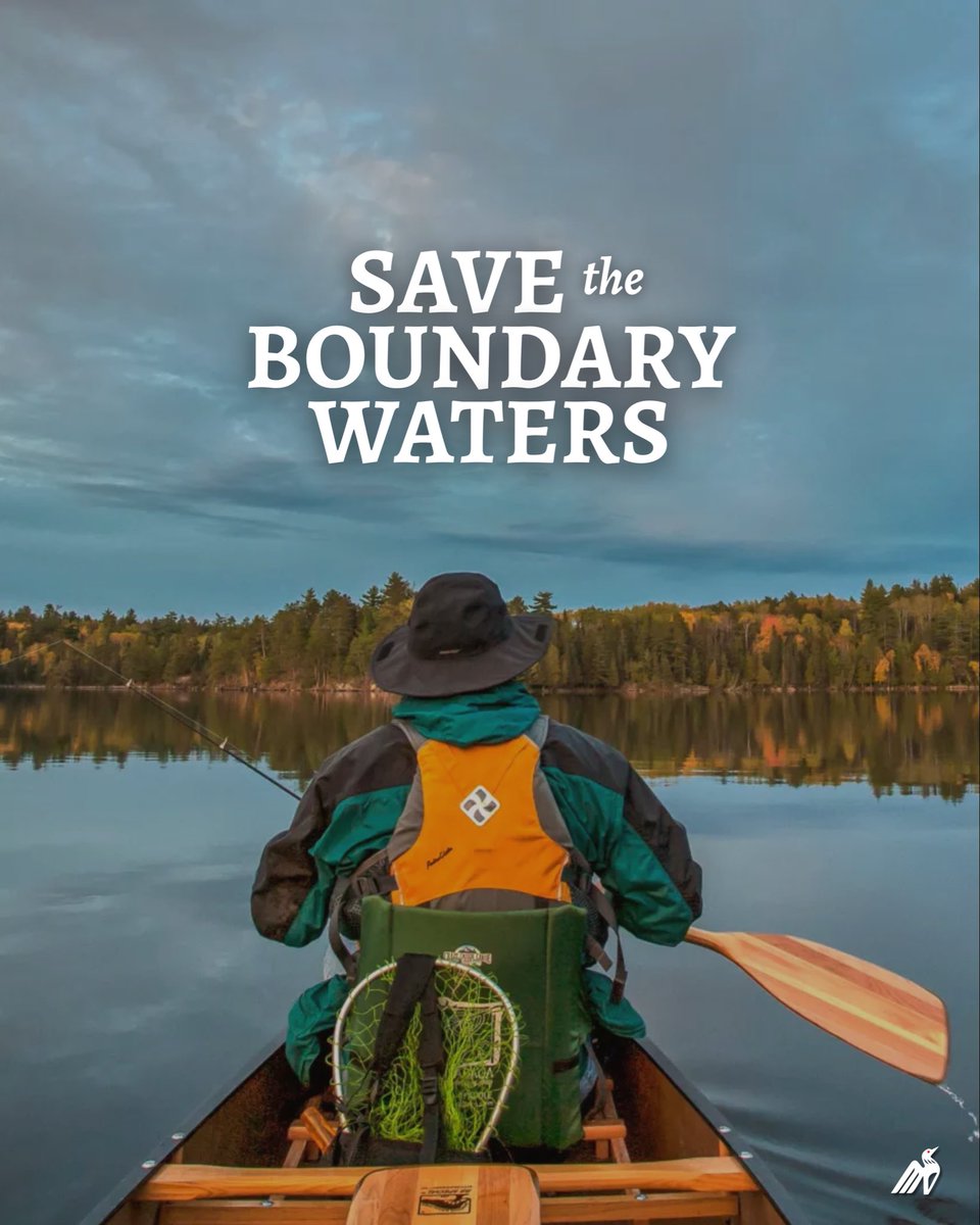 Tina Smith tweet media