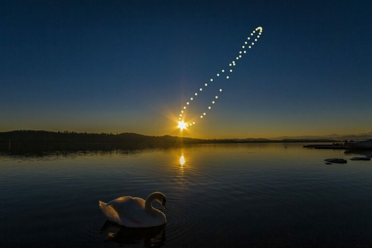 Chadjk99 tweet media