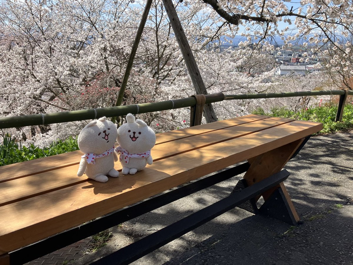 miroi's tweet photo. 鳥帽子山公園

2026/4/12 https://t.co/LrMoHdLsrZ