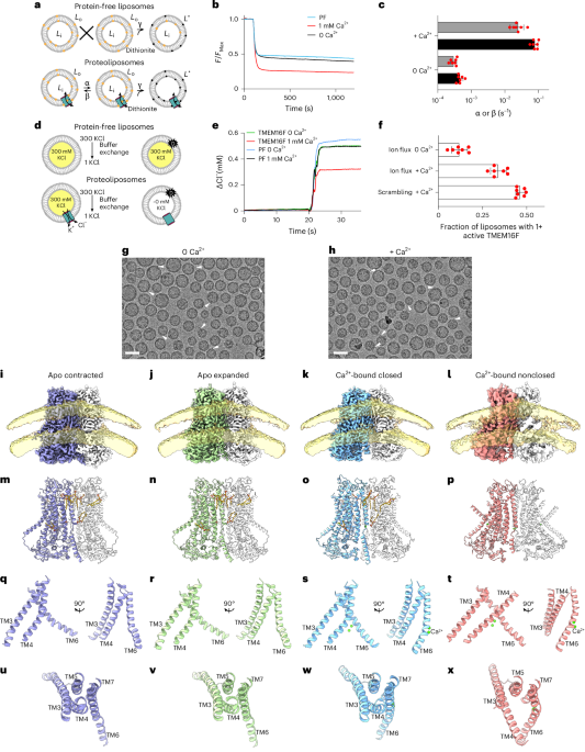 NatureStructMolBiol tweet media