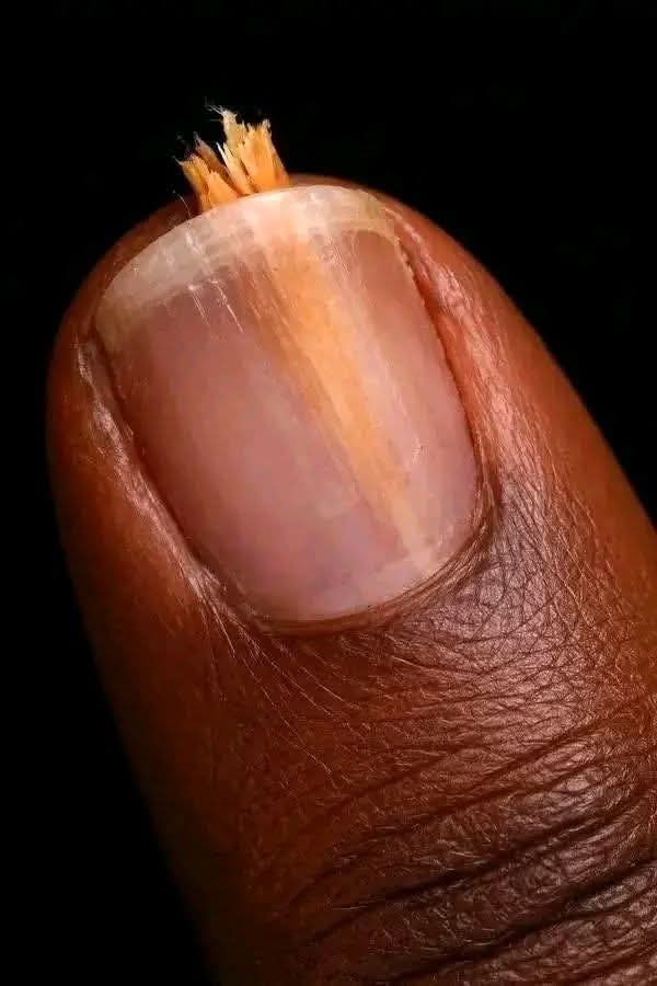 Tasha 😋💦 tweet media