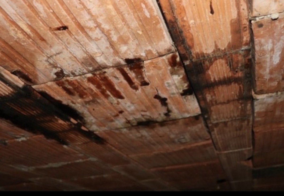 Vlora Jashanica - Head of IPDV tweet media