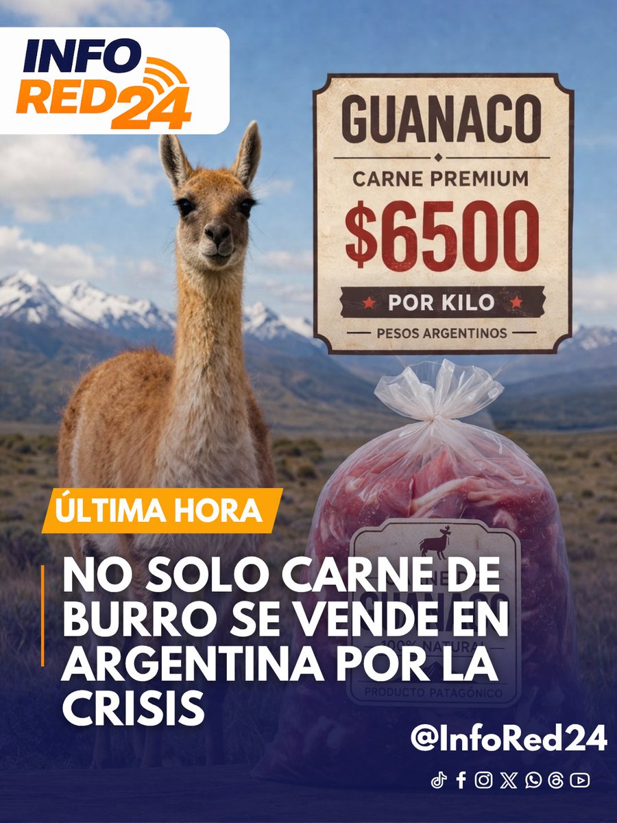 InfoRed24 tweet media