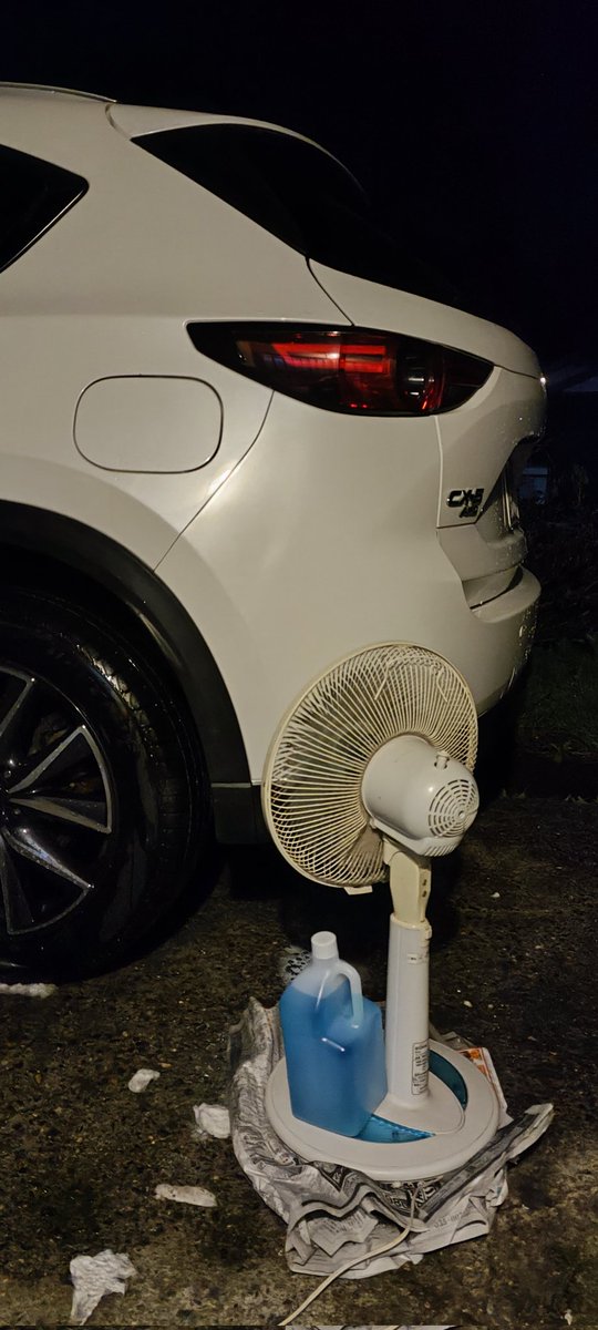 ぜんいち tweet media