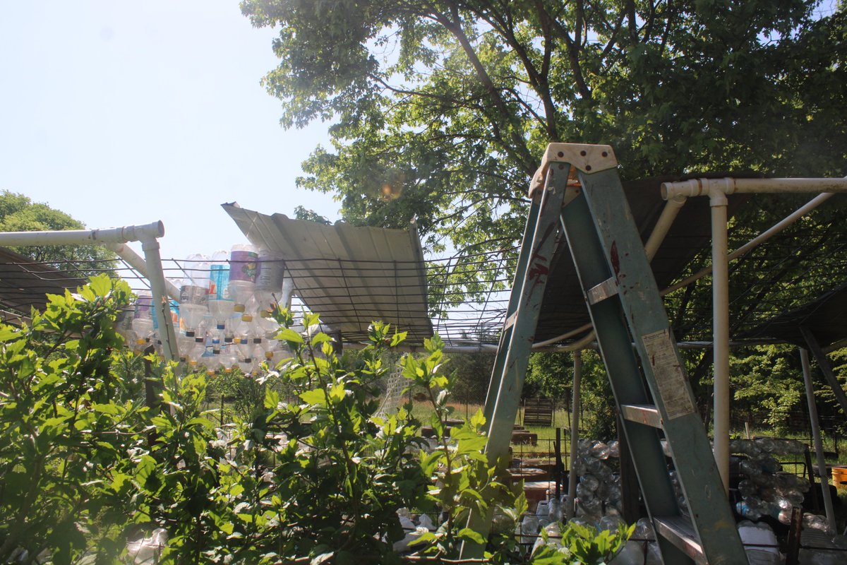 docsanderson's tweet image. #Scientists #Carpenter #RestorationProject #Wolves #Mates @NatGeo @HeartsofHeroes_ @Nature
@Ginger_Zee Lizzie Mags G i want my #GreenHouse back off Roof Support. it was the short segment of pipe that led to the collapse it produced strain in the structure Getting Focused Mwah Lee