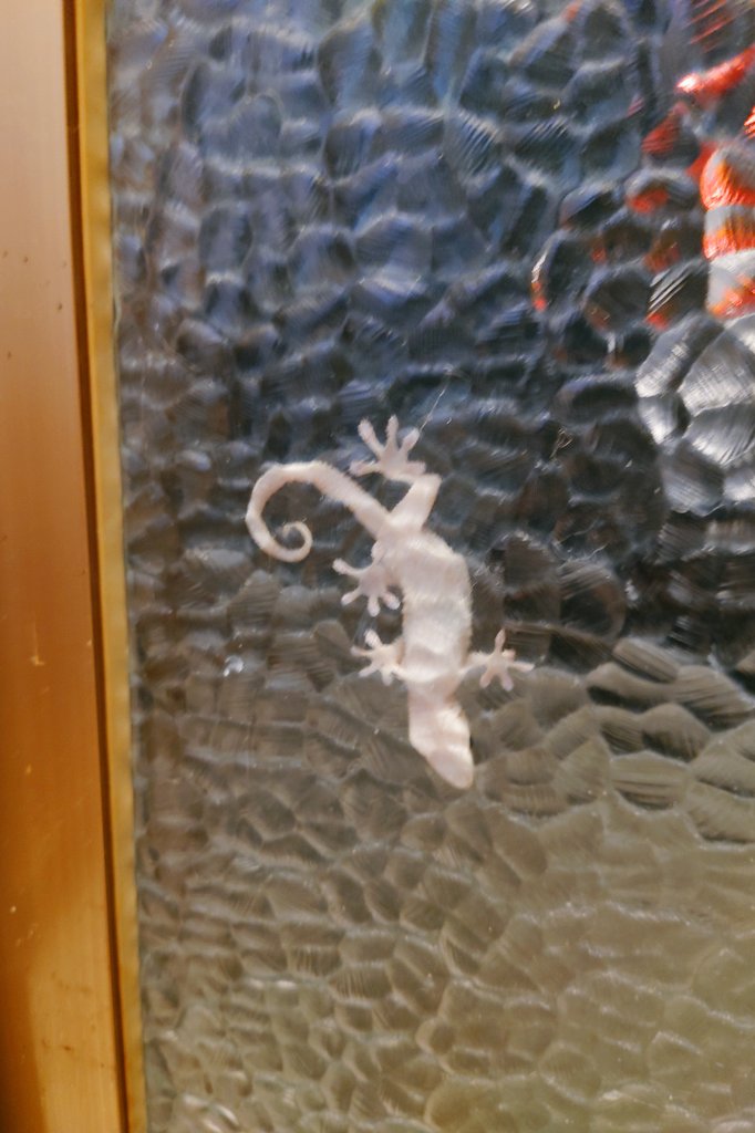 ののののんちゃん♪ tweet media