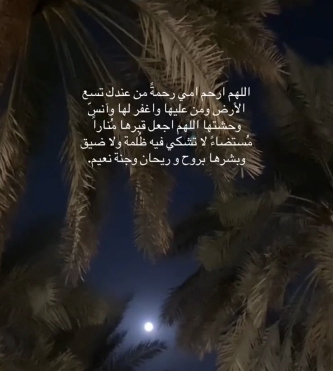 بدور🌷 tweet media