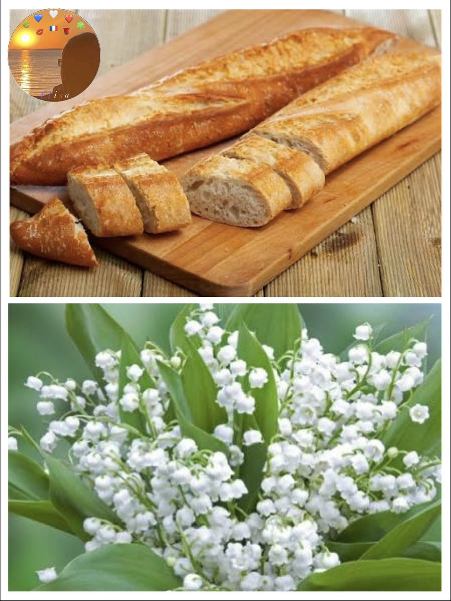 💙🤍❤️𝓔ℒ𝓘𝓢𝓐 💙🤍❤️⛔️DM⛔️GROUPE⛔️LISTE 💤🇫🇷 tweet media