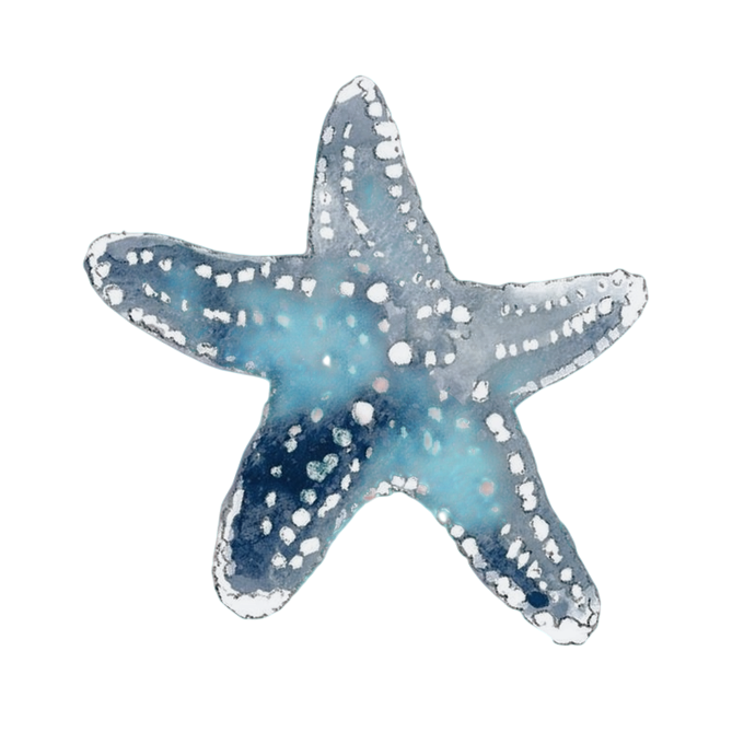 , ´+ 𝓢𝙴𝙰𝐒𝐓𝐀𝐑 tweet media