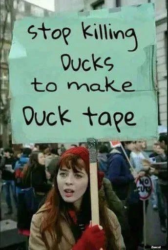 DJBoise83716 🇺🇸 tweet media