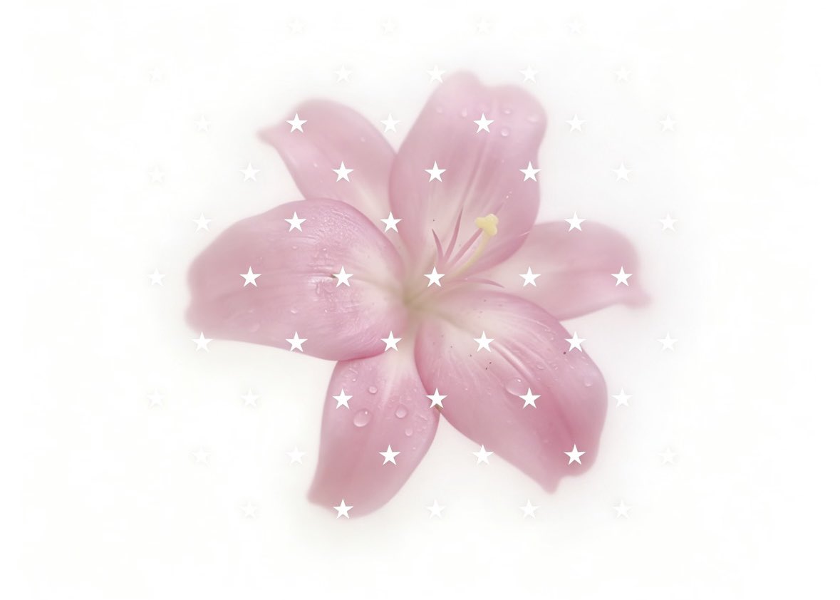 ᪗ loooove 🩵 ꢆ tweet media