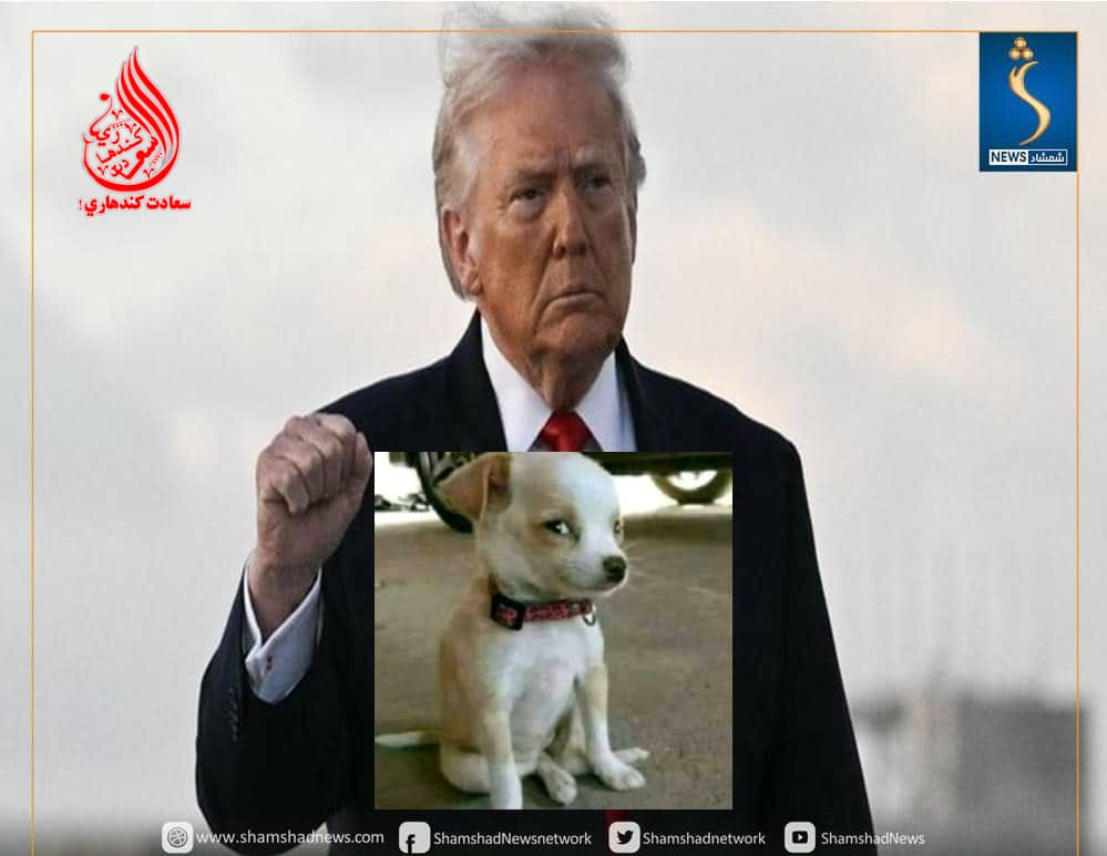 مباریز حماس مجاهد tweet media