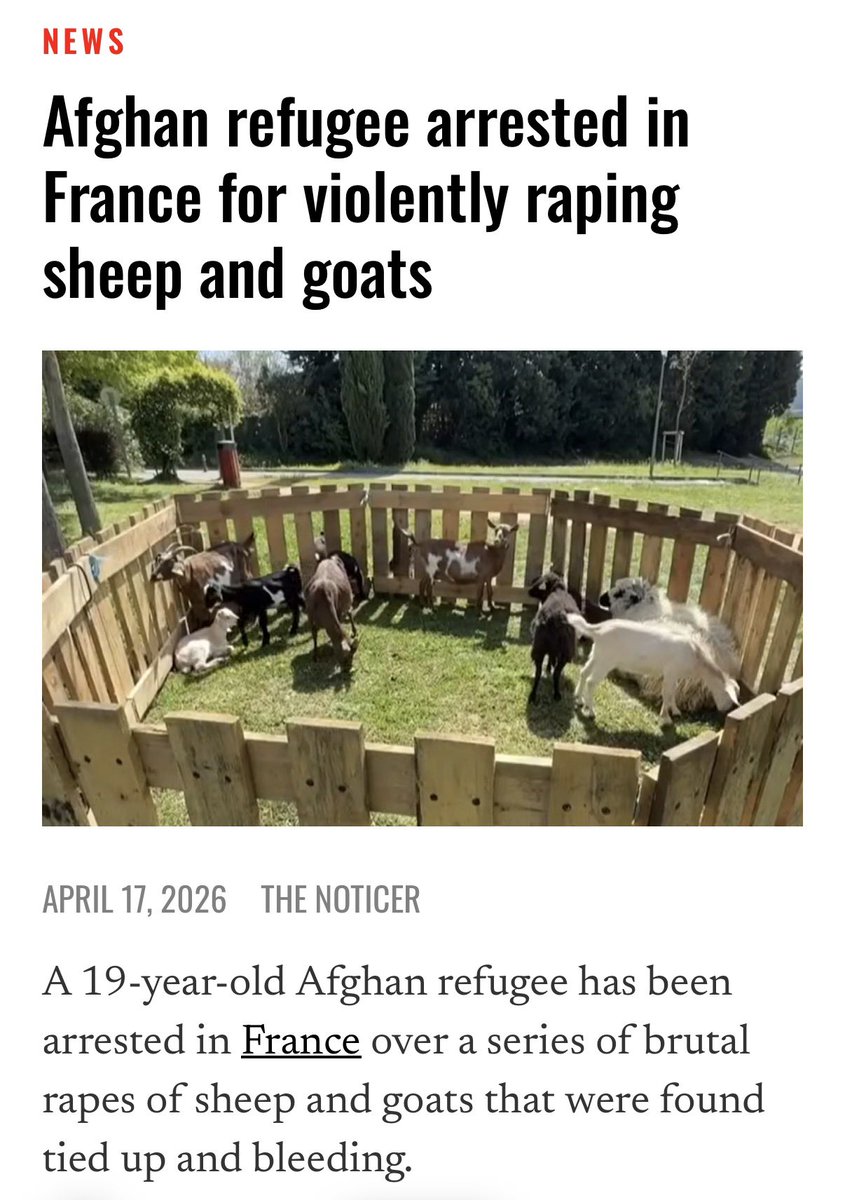 Samantha Smith tweet media