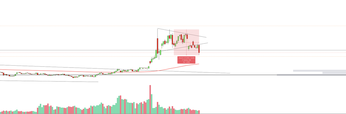 Lady Market tweet media