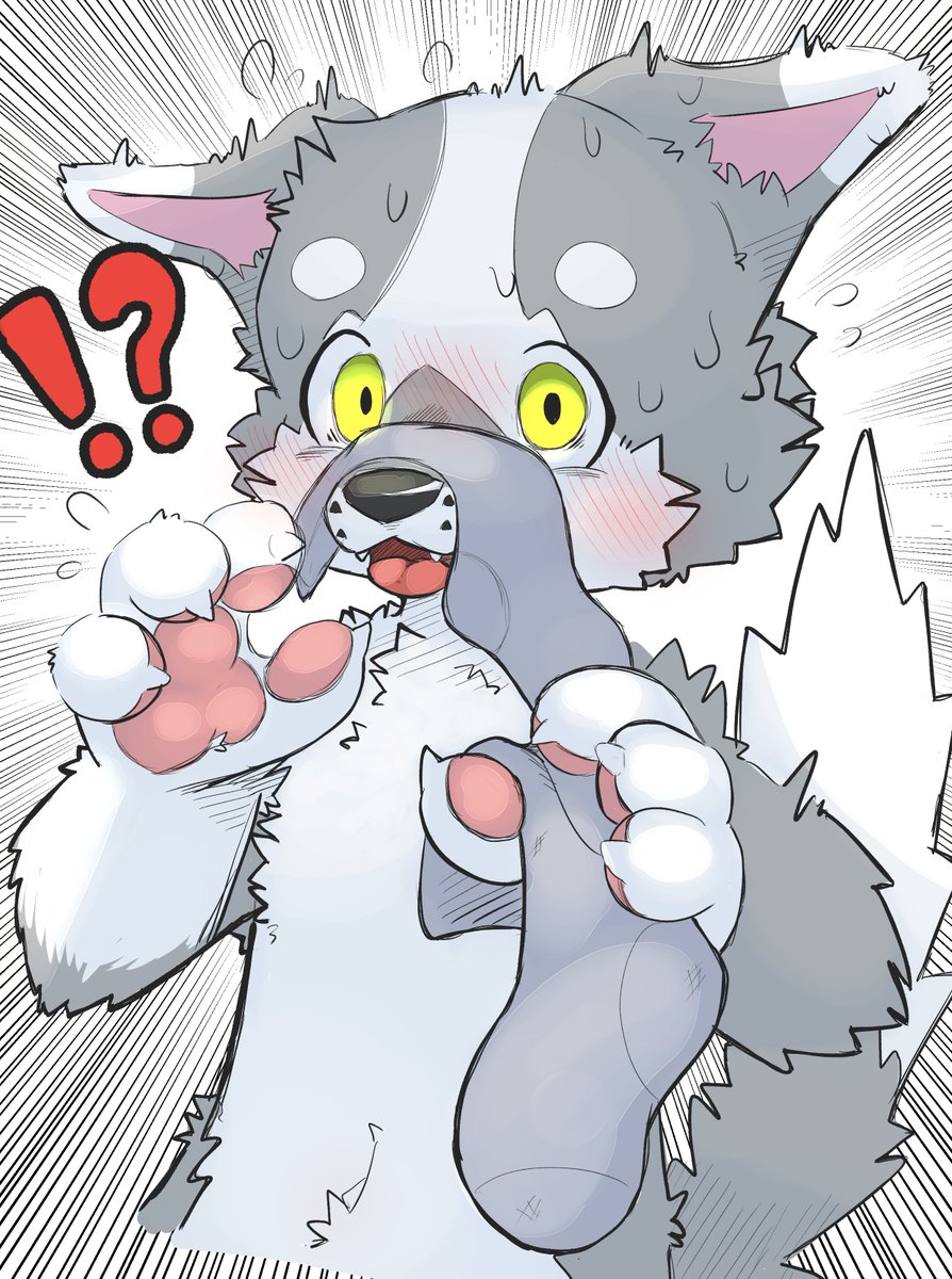 ザック🐶/くぅん tweet media