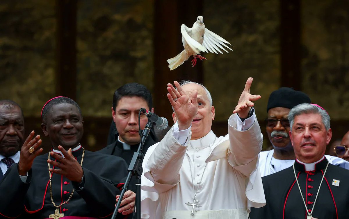 Benjamin 🇺🇸 🇵🇱 🇺🇦🇬🇪🇹🇼 tweet media