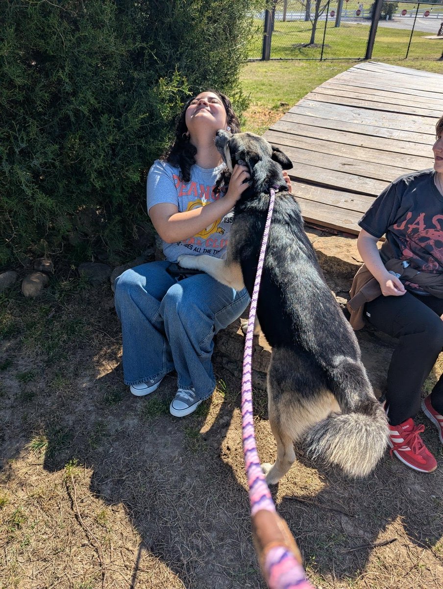 Memphis Humane Society tweet media