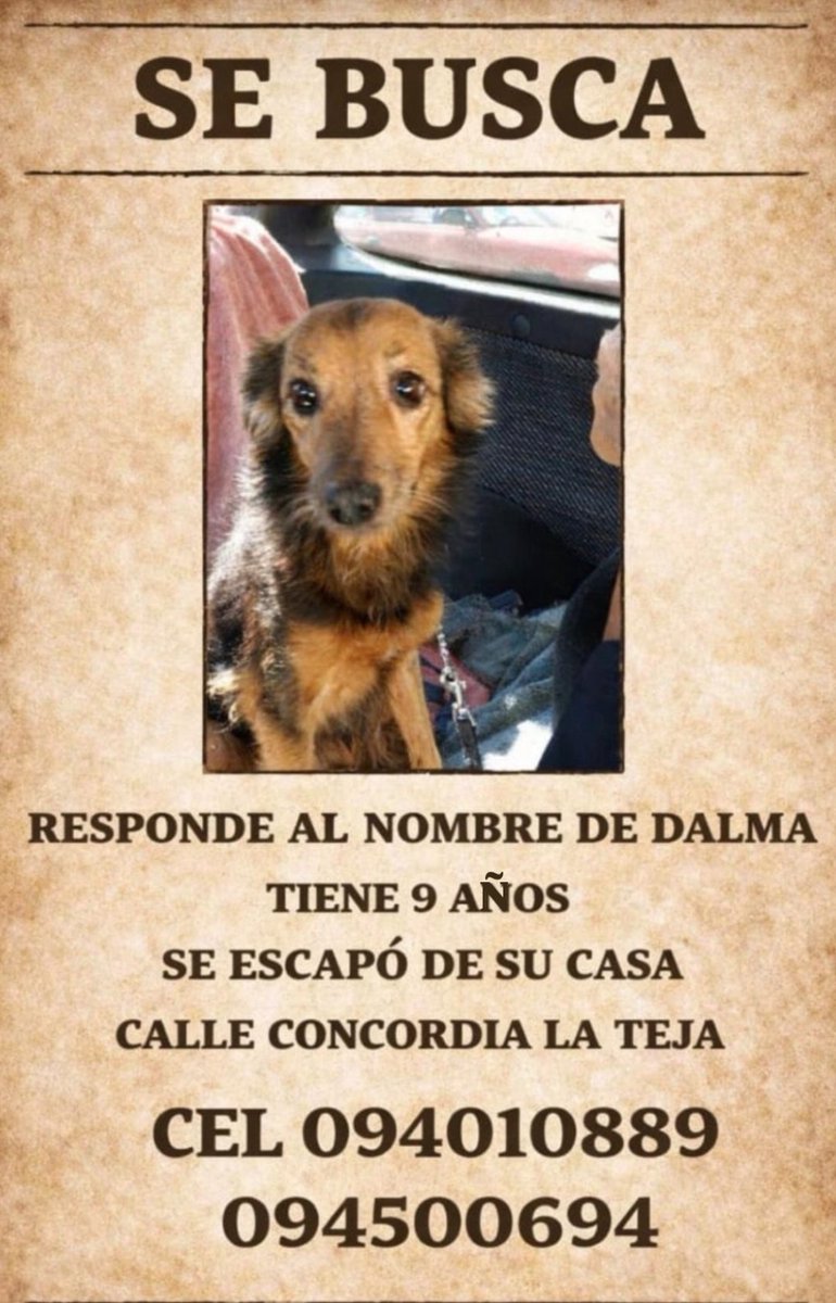 Diego Martini Lemos tweet media