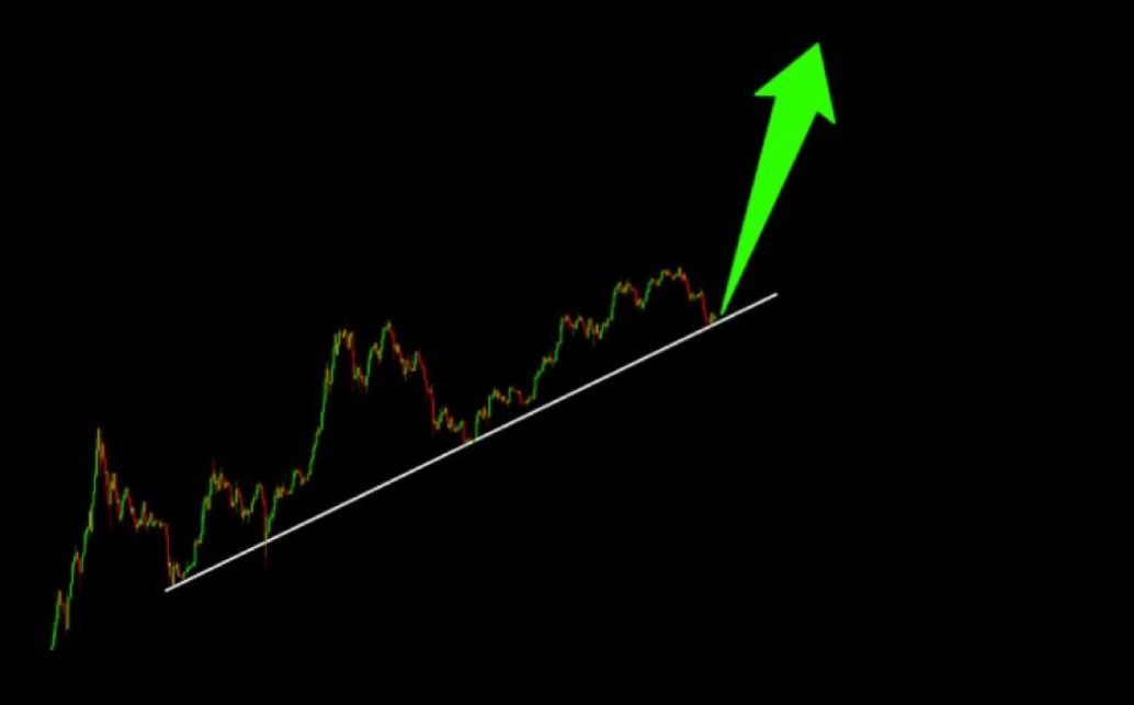 Life of Dave tweet media