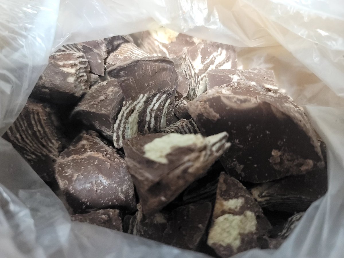 호 🐾 tweet media