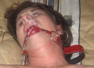 Chubby Biscuit tweet media